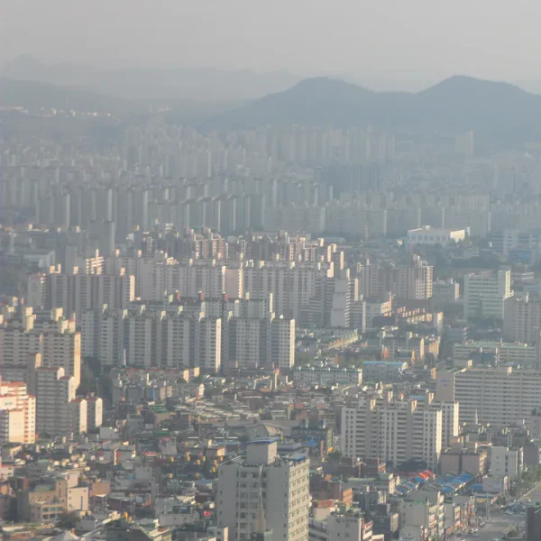 힐링 리사포레스트 홈타이 대표 안내 이미지