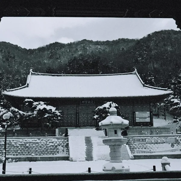 모던 베르디포레스트 테라피 대표 안내 이미지